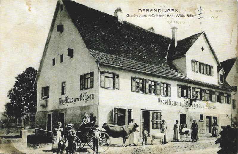 Historische Postkarte: der alte Ochsen mit Metzgerei, davor ein Ochsengespann, 1907
